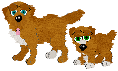 Tollers